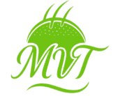 mvt mani voosoghi tricopigmentation capillaire